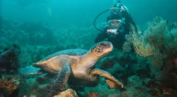 Reserva Marina de Galápagos